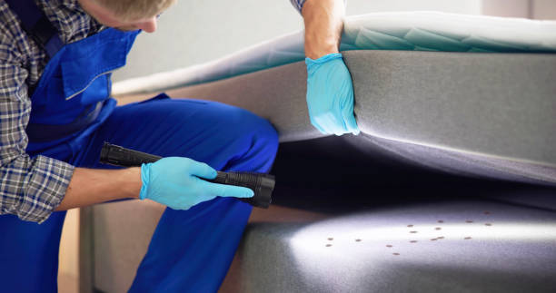 Wasp Removal Services in Narragansett Pier, RI